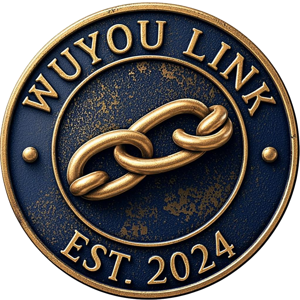 无忧(WuYou)VPN官网 图标